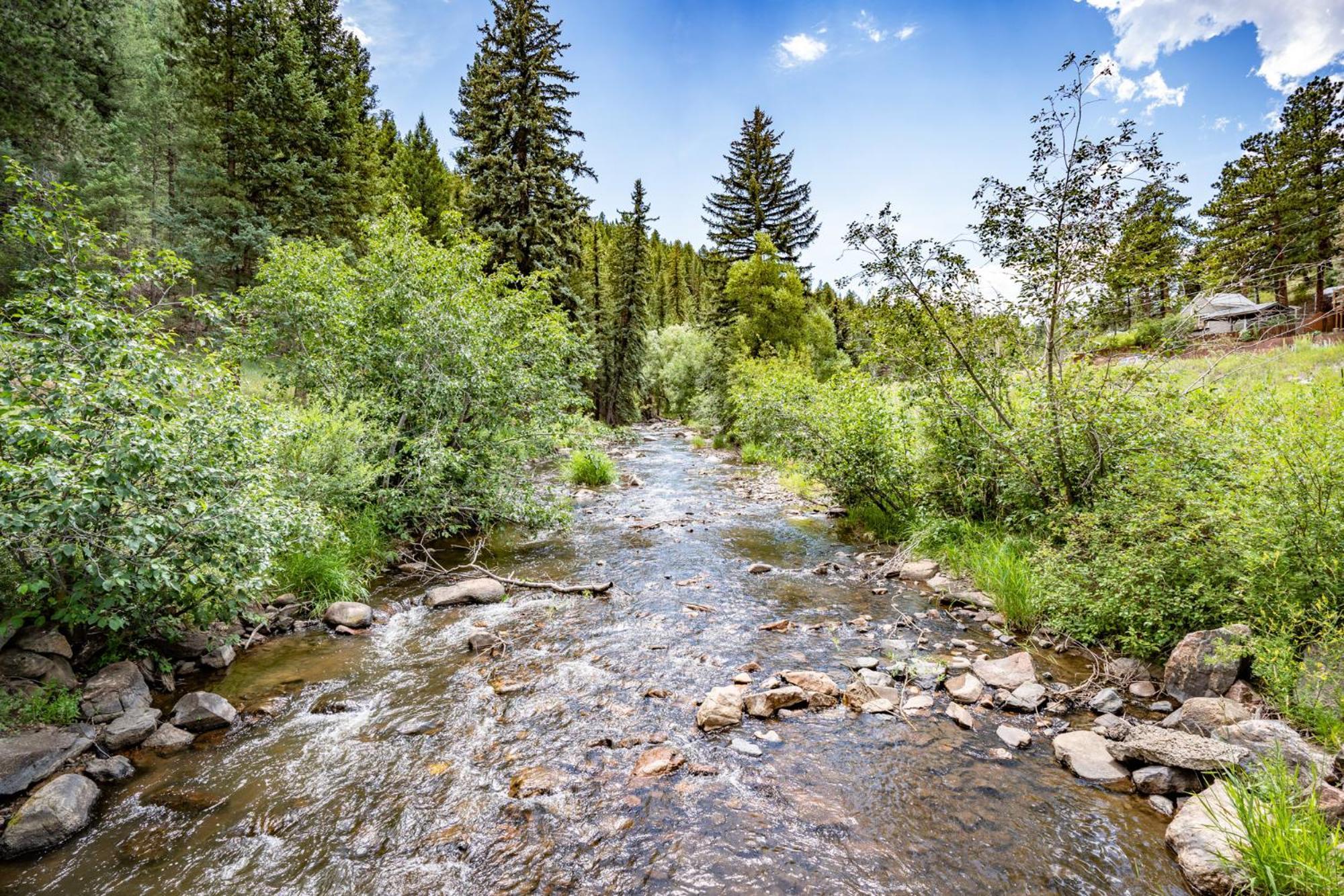 Colorado Bear Creek Cabins Evergreen Oda fotoğraf
